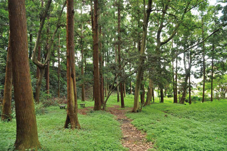 【栄の森へ行こう】飯島市民の森（いいじましみんのもり） 面積：約６ha