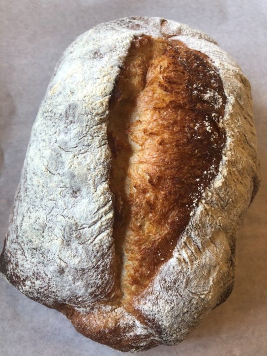 秦野産小麦の塩麹ブレッド：パンのくま小屋【はだのブランド認証品】