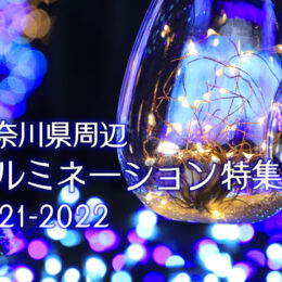 地元でキラめく神奈川周辺「ご近所イルミ」穴場スポットも【2021-2022特集】