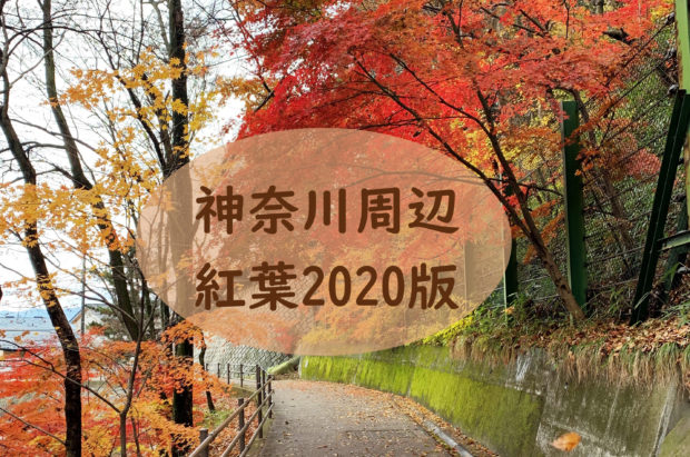 レアリア 横浜 川崎など神奈川県周辺のイベント おでかけ情報を掲載しています