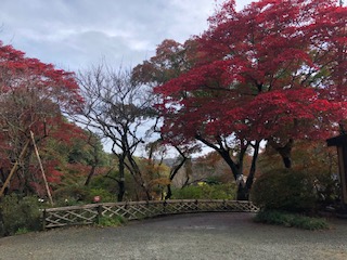 京王百草園 もぐさえん で年も 紅葉まつり 11月14日 日野市 神奈川 東京多摩のご近所情報 レアリア