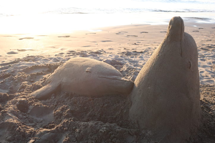 本物そっくりの完成度 イルカのサンドアート＠片瀬西浜海岸