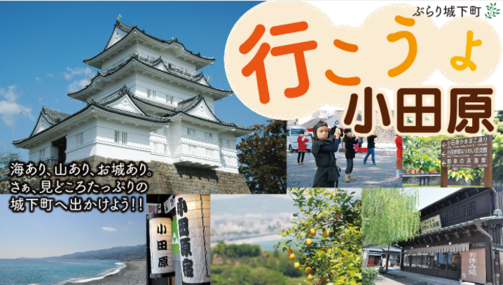 横浜 ページ 299 レアリア