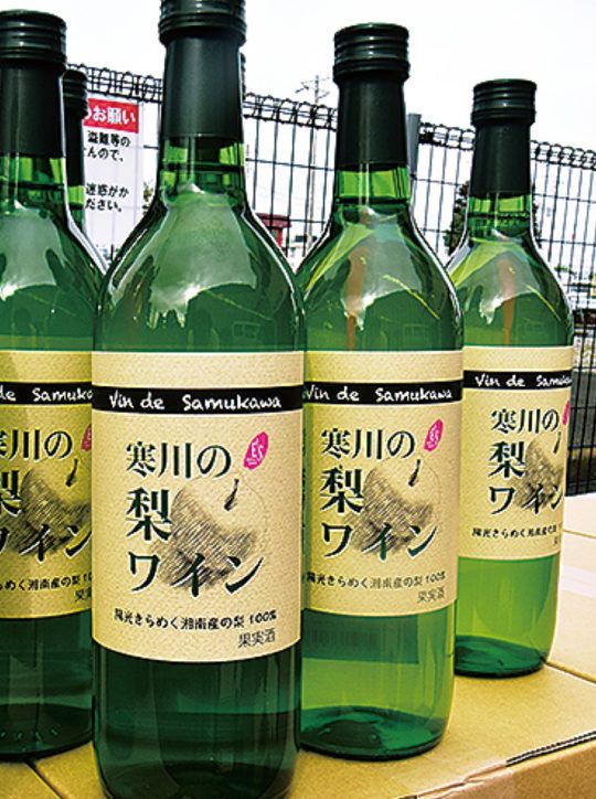 寒川産の梨使用「梨ワイン」が3年ぶりに復活