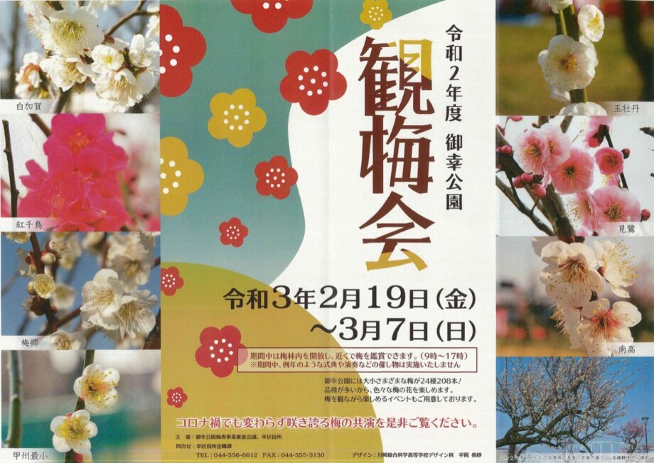 「川崎・御幸公園」で24種208本の梅に春の息吹！2021年はクイズラリーでプレゼントも