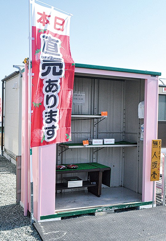 10種以上のいちごが食べ放題 選び放題 秦野 村上いちご園 で楽しむ完全予約制のいちご狩り 神奈川 東京多摩のご近所情報 レアリア