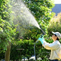 庭木の剪定や雑草処理はプロにお任せ！ダスキンあざみ野支店のお庭サービスを取材レポ！【横浜市青葉区】