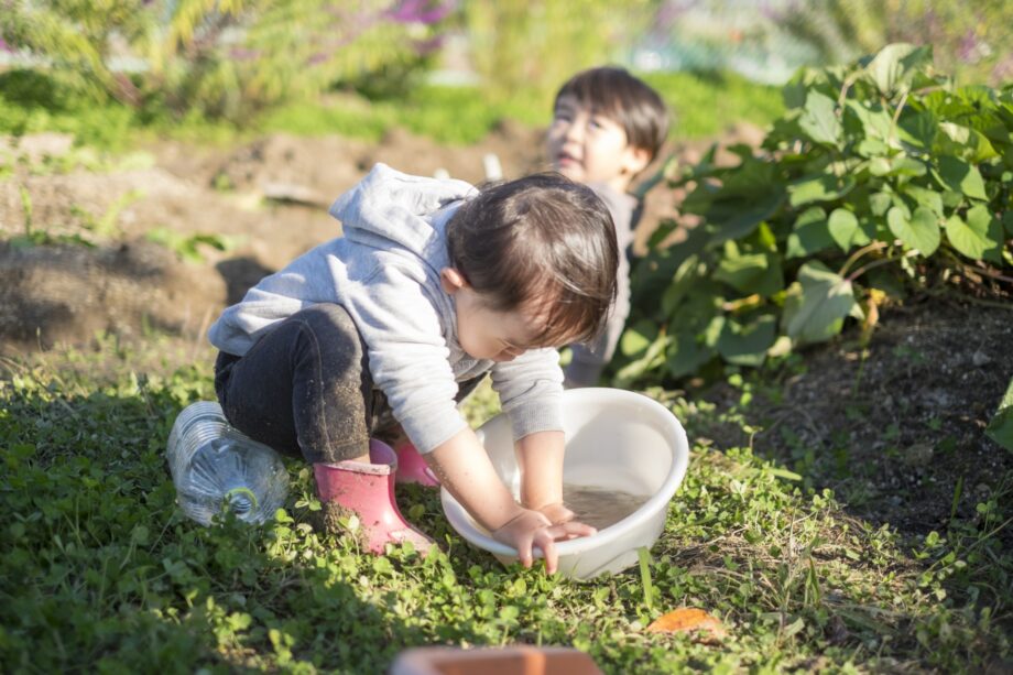 三浦で「親子農業体験教室」募集！苗植えから収穫までを体験しよう！！