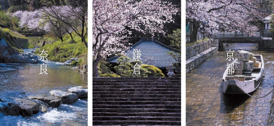 【講座生写真展】「古都のサクラ風景」写真家・原田寛さん＠鎌倉市生涯学習センター