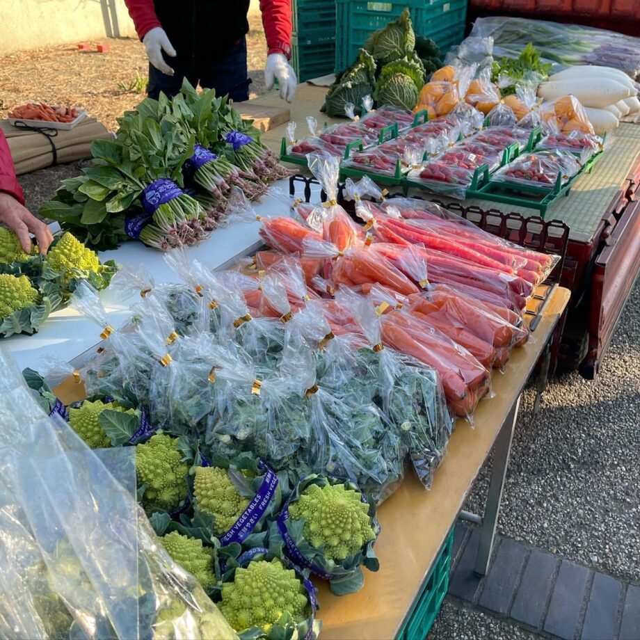 「茅ヶ崎海辺の朝市」生産者が見える、旬の野菜が見つかる！毎週土曜、茅ヶ崎公園で開催