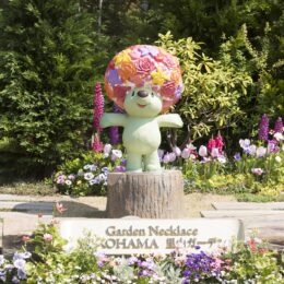 横浜市旭区・里山ガーデンで「ガーデンネックレス横浜2021」自然豊かな里山の花模様を楽しむ