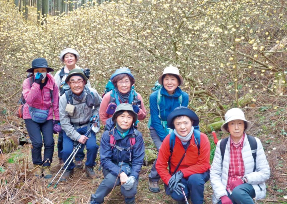 【新規会員募集】楽しく安全山歩きーハイキングクラブ「山ぼうし」＠町田市