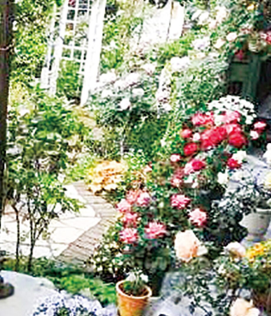 【５月12日に見学会】バラやクレマチスが見頃「オープンガーデン＆バラの見学会」相模原市