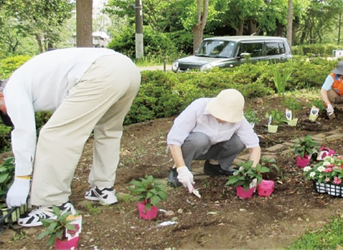 横浜 保土ヶ谷公園で夏花壇を作りませんか 要事前申込 定員10人 神奈川 東京多摩のご近所情報 レアリア