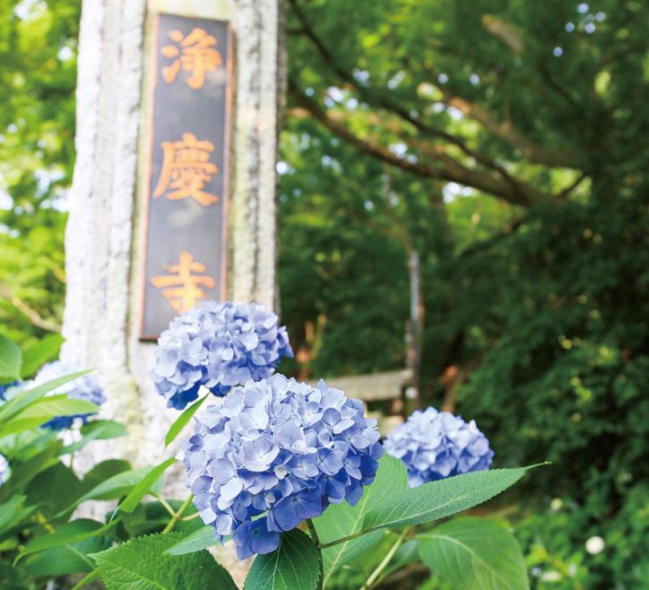 【参加者募集・事前申込】川崎市麻生区の寺社を散策し魅力を再発見！歴史観光ガイドが案内