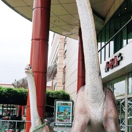 イトーヨーカドー大和鶴間店 ｢リアル恐竜｣が出現 （期間限定のフォトスポット）