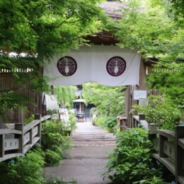 【取材レポ】大和市福田の”花のお寺”『常泉寺』を訪れてみました　心安らぐ河童と四季の花々が楽しめます