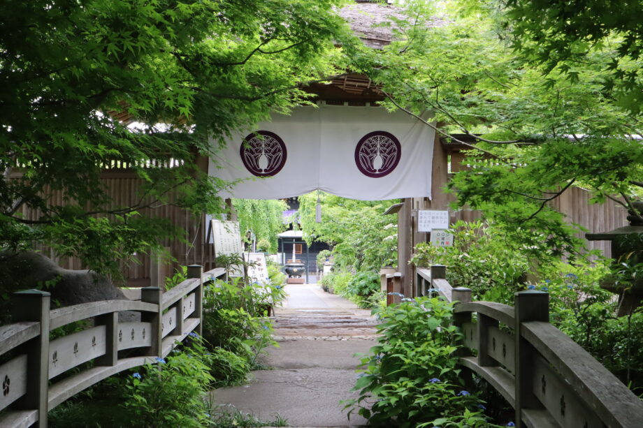 【取材レポ】大和市福田の”花のお寺”『常泉寺』を訪れてみました　心安らぐ河童と四季の花々が楽しめます