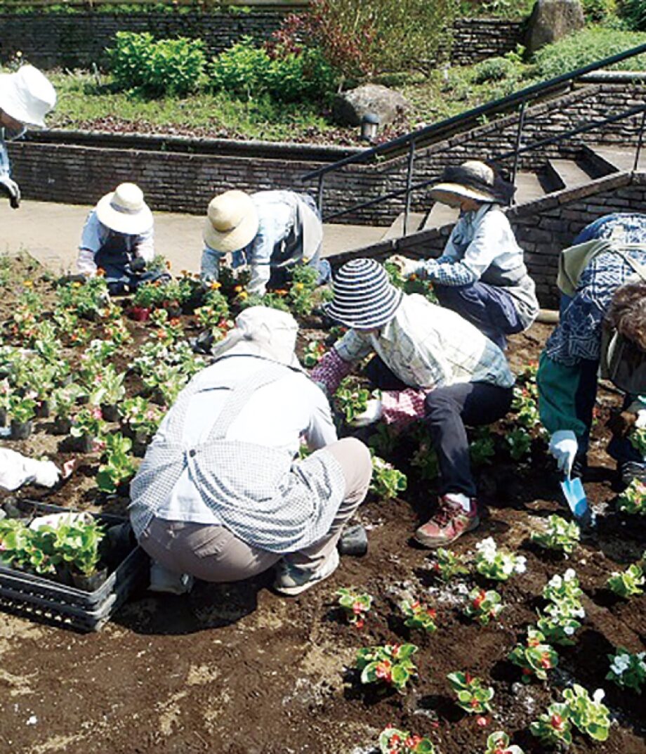 ＜津久井湖城山公園＞花壇や植物の管理を行うパート職員を募集！