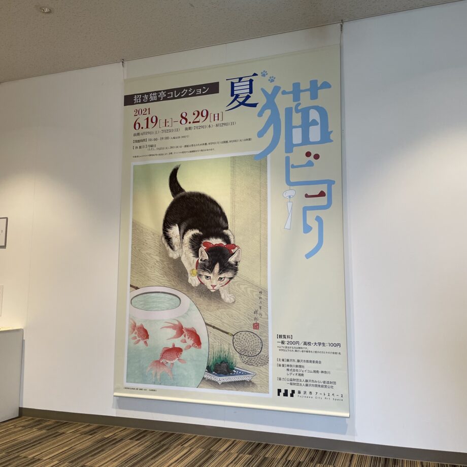 あつまれネコ好き！藤沢市アートスペースで『招き猫亭コレクション 夏‐猫ビヨリ』展