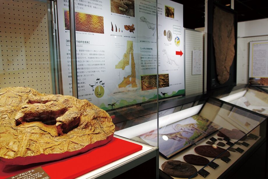 入場無料「足跡化石から探る太古の世界ー恐竜からナウマンゾウまでー」横須賀自然・人文博物館