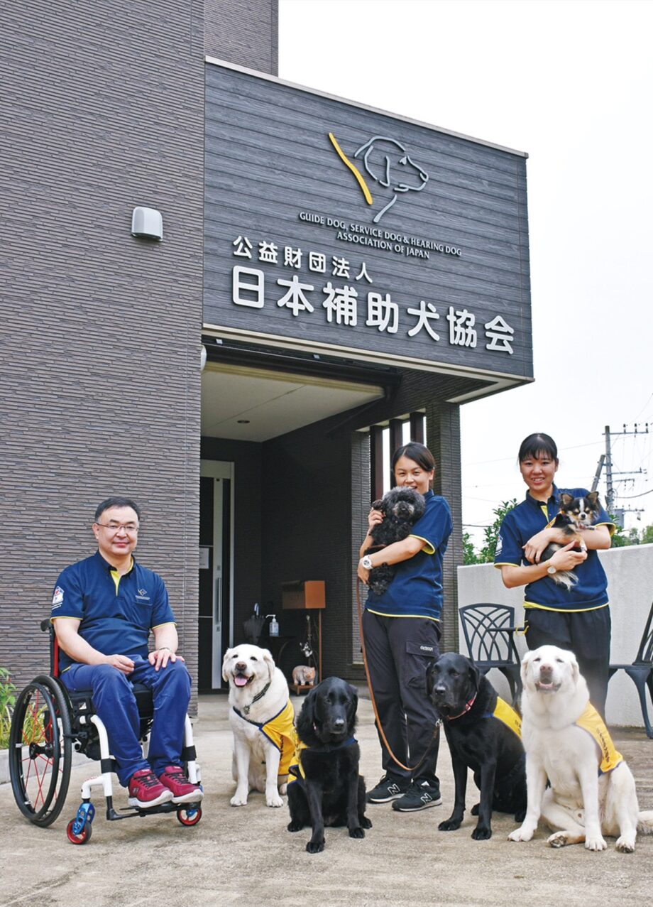 【クラウドファンディング】盲導犬・介助犬・聴導犬の補助犬育成資金 募る＠公益財団法人　日本補助犬協会