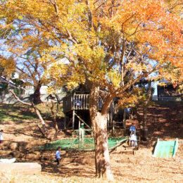 平戸幼稚園（横浜市戸塚区）やまのある幼稚園。子ども主体のあそび中心の保育です【2022年度募集】