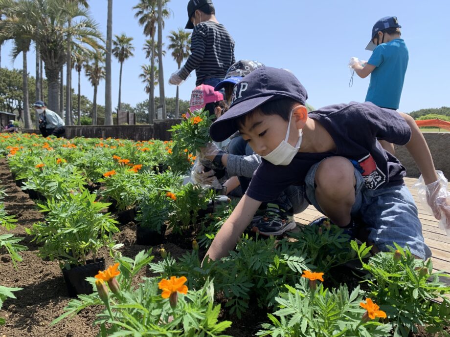 〈茅ヶ崎市立松浪小学校〉笑顔のお花いっぱいプロジェクト！地域と関わりSDGs学ぶ