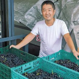 地場ワイン 醸造はじまる 　2022年3月に300本完成予定＜横浜市保土ケ谷区＞