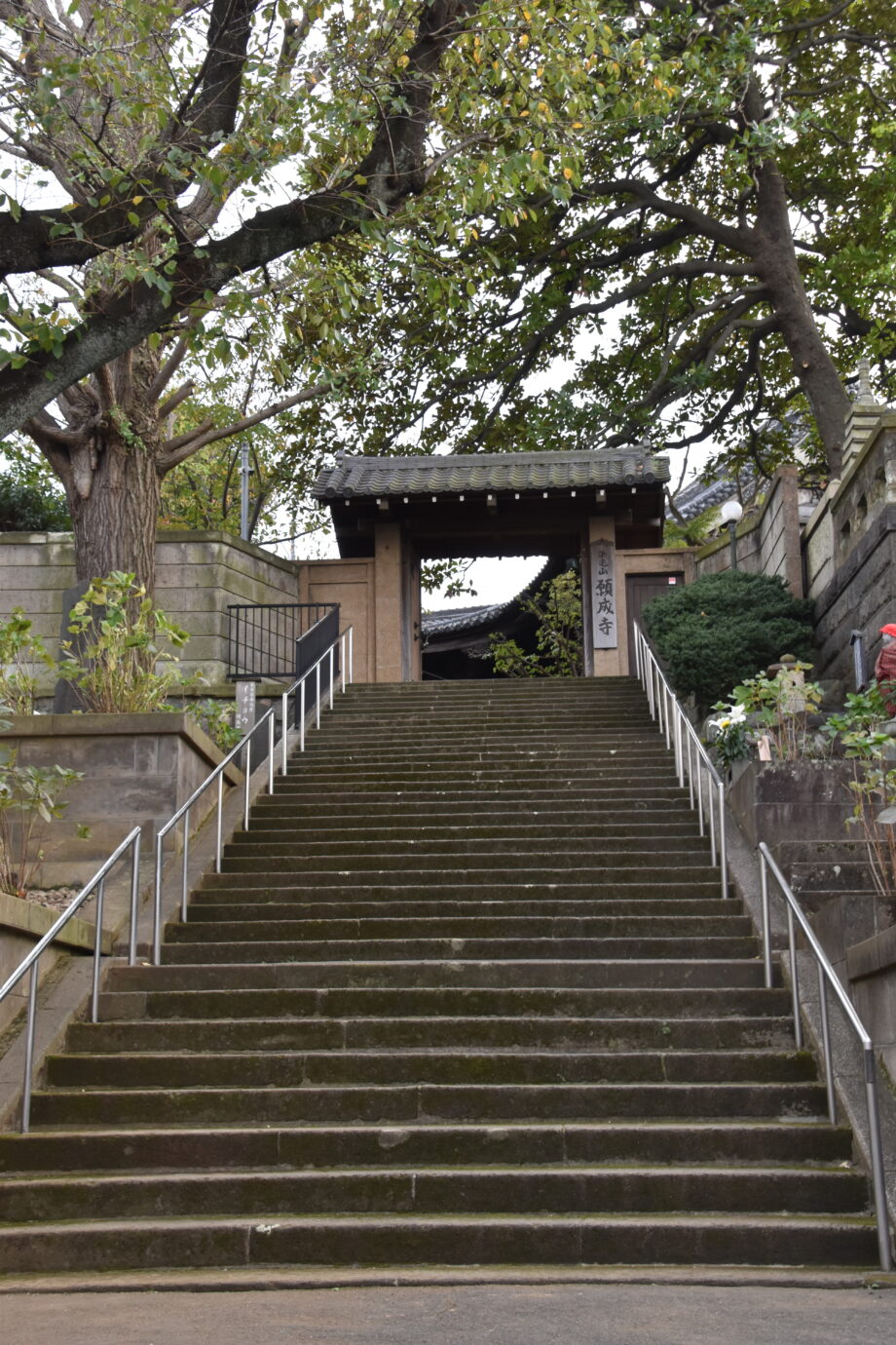 横浜市西区の古刹「願成寺」にぎやかな縁日で知られる。ご本尊の延命地蔵尊は正月・縁日にご開帳