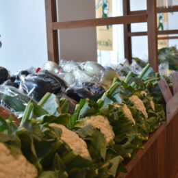 【体験レポ】横浜市役所でやっている横浜野菜の直売所に行ってみた！