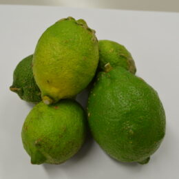 【記者体験レポ】浦賀産レモンで自家製ジャム作ってみた！