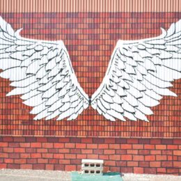 【長津田みなみ台】住宅街に「映えスポット」 壁面に大きな白い羽根