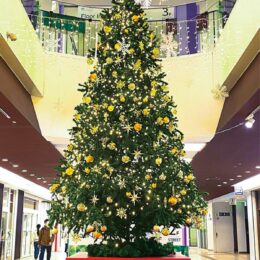 2021年もトツカーナでＸマス！クリスマスツリーやイルミネーションも開催＠横浜市戸塚区　