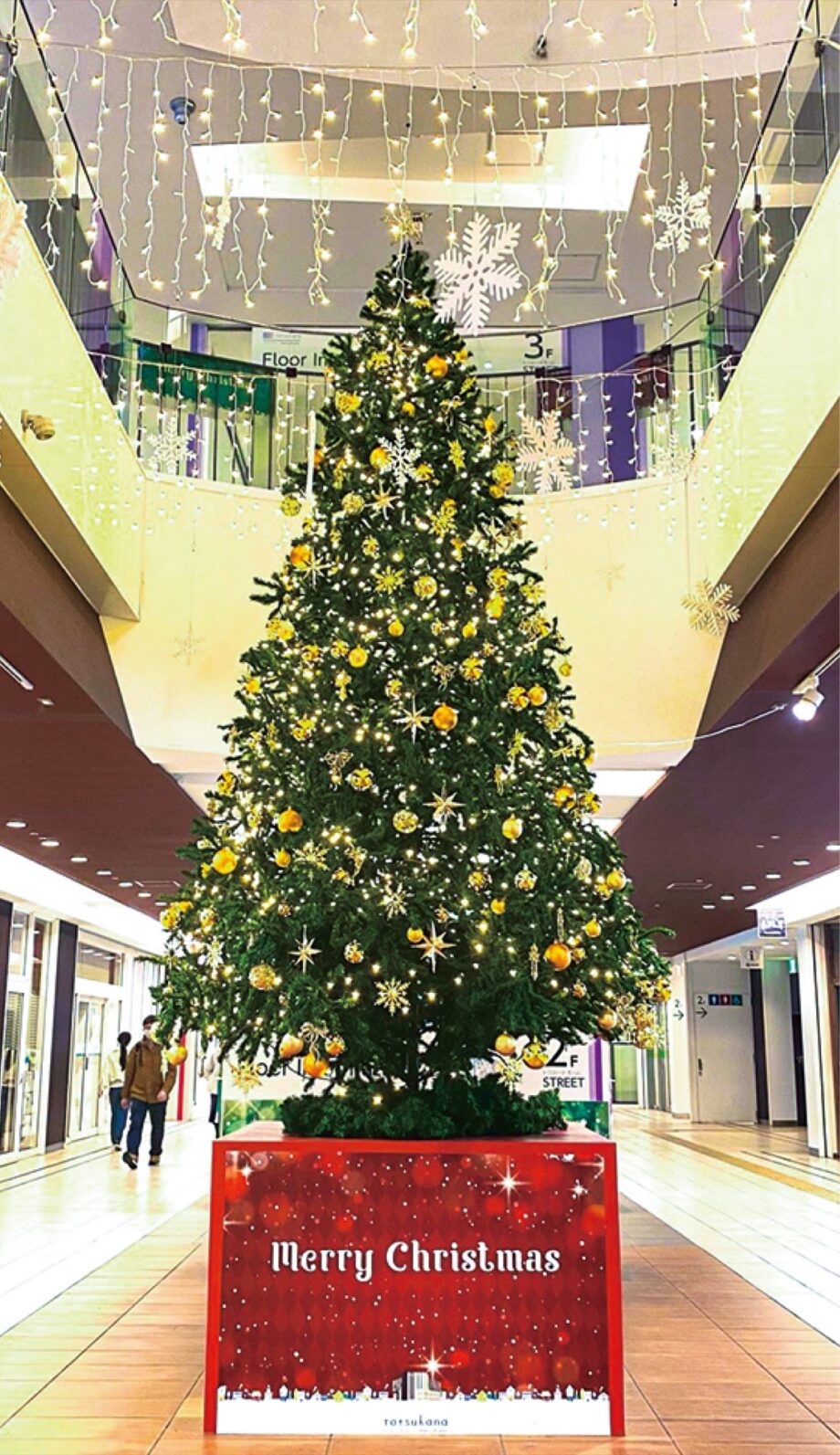 21年もトツカーナでｘマス クリスマスツリーやイルミネーションも開催 横浜市戸塚区 神奈川 東京多摩のご近所情報 レアリア