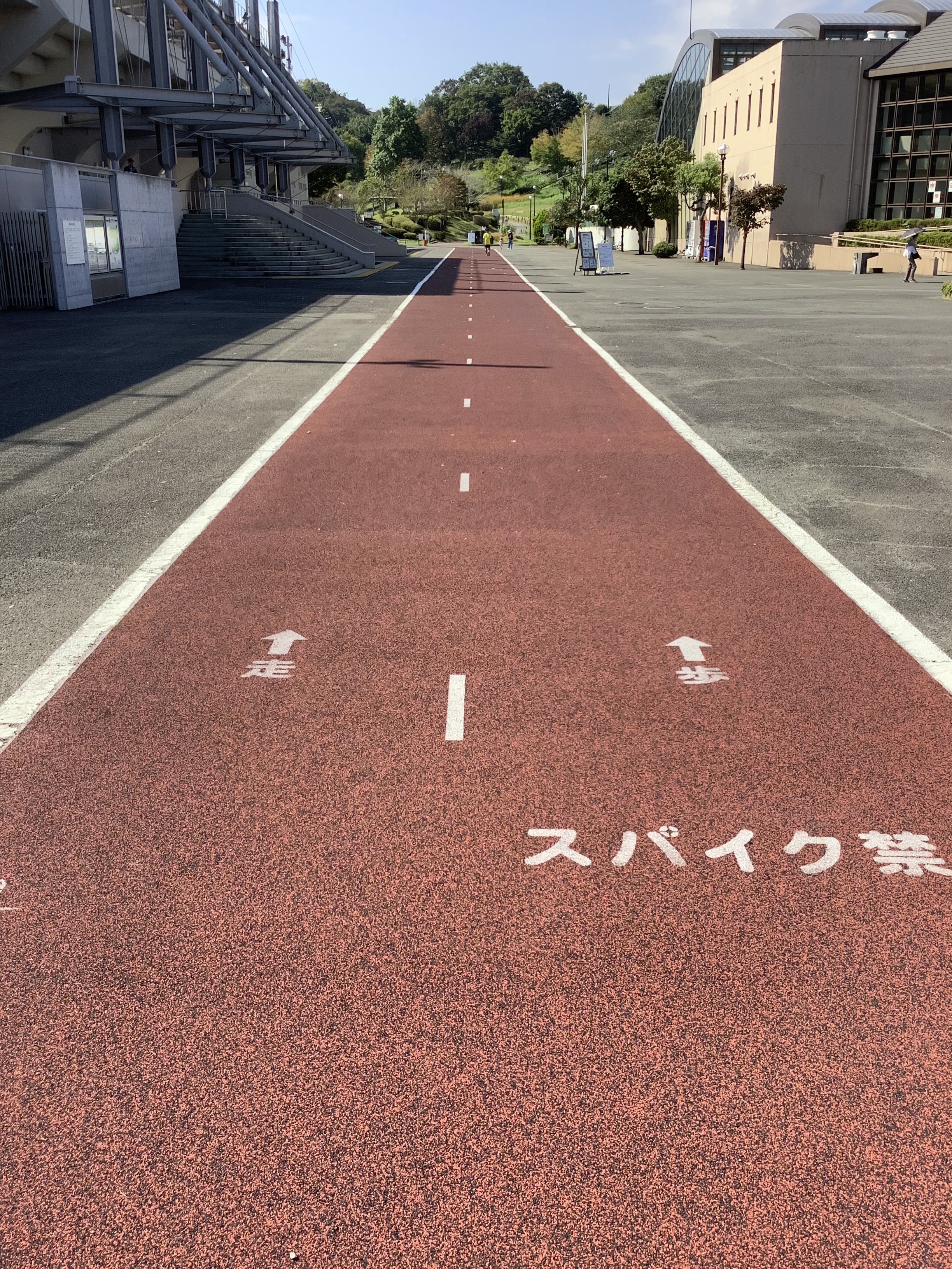 公園レポ 厚木市の 荻野運動公園 は健康に運動 癒しや娯楽もあるスゴイ公園だった 家族でお出かけにも 神奈川 東京多摩のご近所情報 レアリア