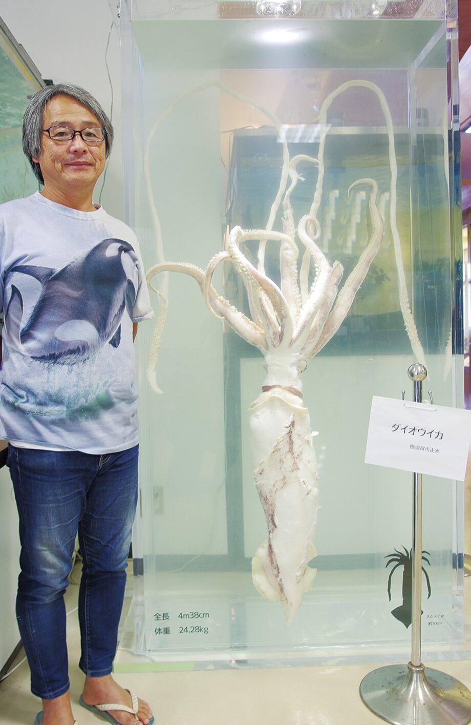 京急油壷マリンパークの標本が観音崎自然博物館へお引越し！