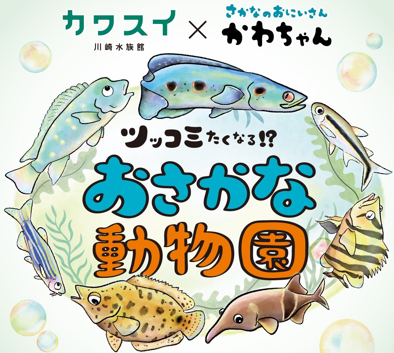 カワスイ×さかなのおにいさん”かわちゃん”コラボ企画『ツッコミたく