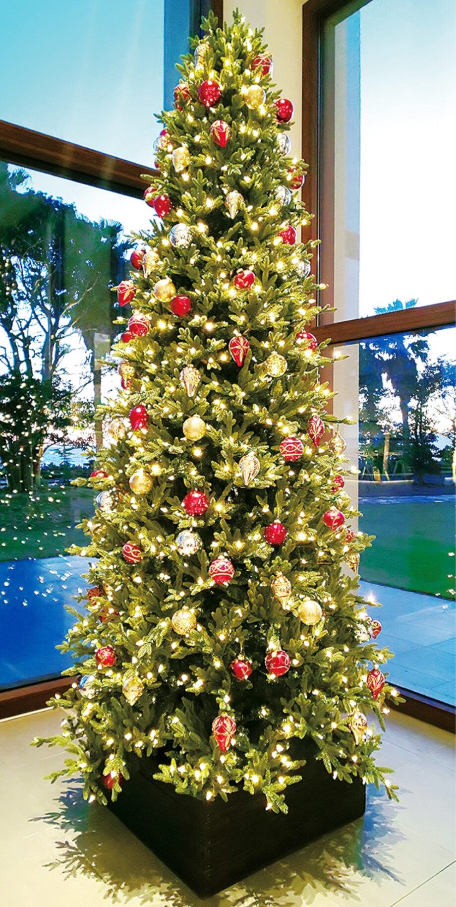2021年も大磯プリンスホテルのクリスマスツリーが華やかにきらめく