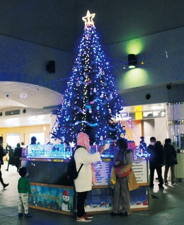 湘南台駅に6mツリーが登場！地下広場をクリスマスムードに