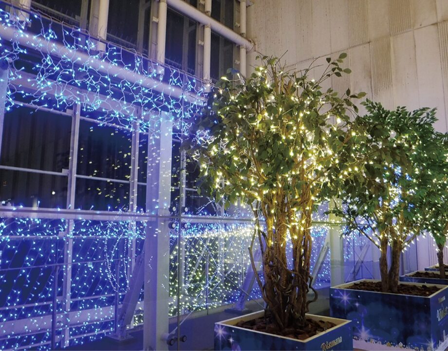 トツカーナ 毎週土曜に音楽イベント！イルミネーションも＠横浜市戸塚区