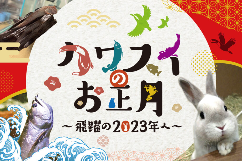 お正月はカワスイ（川崎水族館）へ！「飛躍」をテーマにしたコンテンツ満載　「神奈川県民20歳無料キャンペーン」も