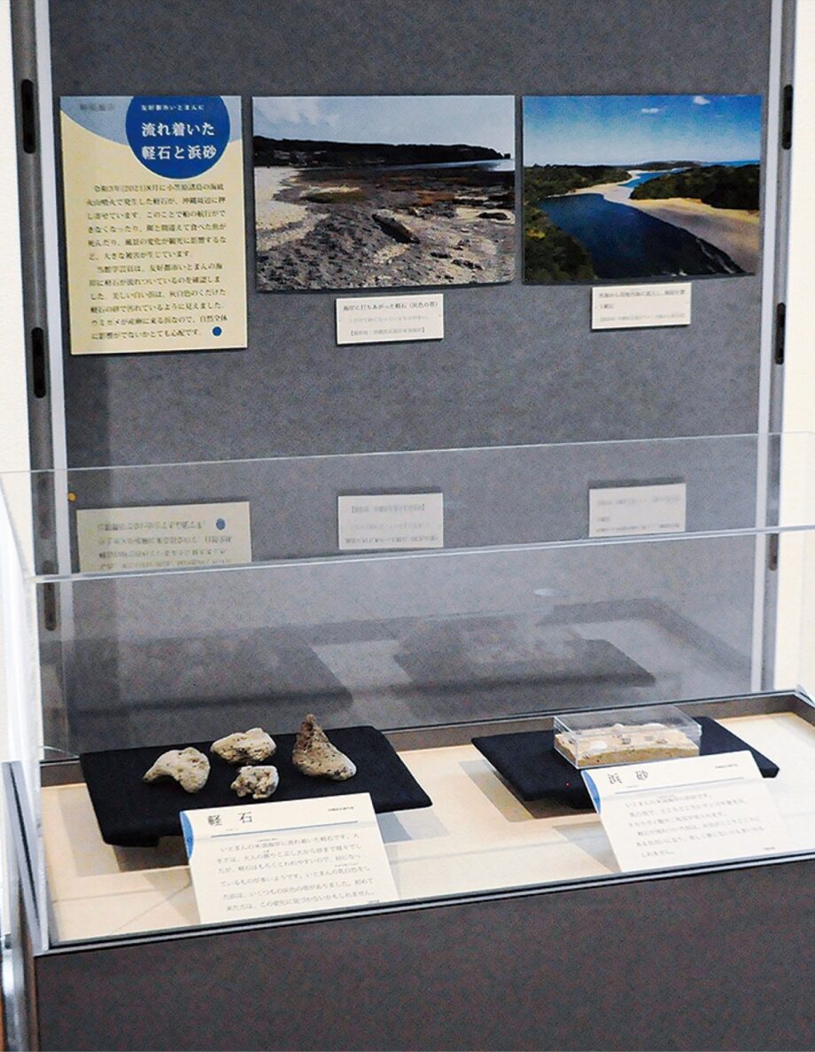 あつぎ郷土博物館で沖縄に漂着した｢軽石｣展示 　友好都市・糸満市が提供