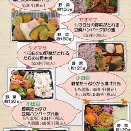 小田原市がヤオマサ、小田原百貨店と協力して開発！「野菜たっぷり（ひそかに減塩）弁当」販売中！