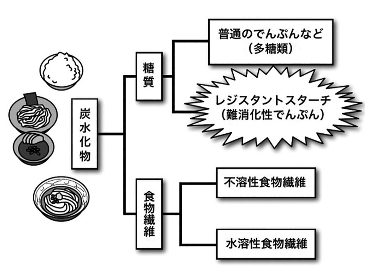 炭水化物は悪じゃない｣ 腸活ボーイ® 連載 Vol.５／文教大学・笠岡 誠一 