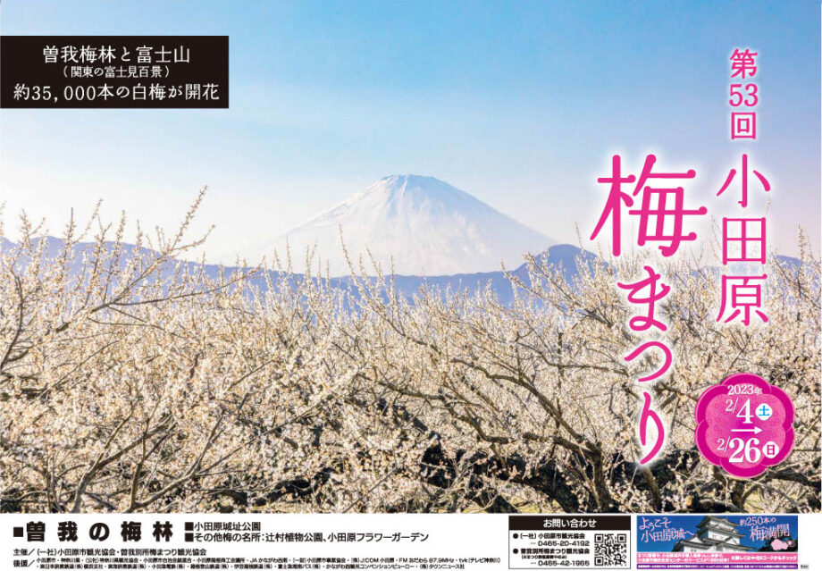 『第53回小田原梅まつり』2023年は一部規模を縮小して開催！霊峰富士を背景に梅花見を