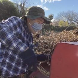逗子葉山にある「とうふ工房とちぎや」の亀田さんによる「たのくろ豆」栽培挑戦を振り返ります！たのくろ豆の豆腐が完成！