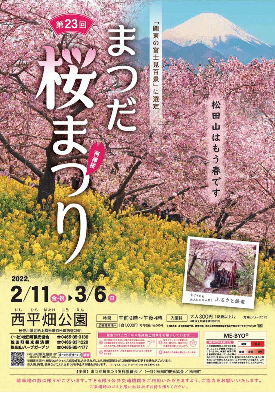 【松田町・西平畑公園】「第23回まつだ桜まつり」ピンク色の河津桜と黄色の菜の花の競演！