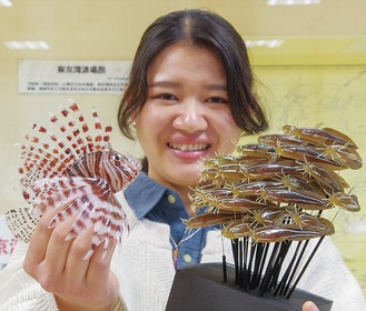 横須賀ゆかりの造形作家とミュージシャンがコラボ「まるで本物？東京湾の魚大集合」企画展