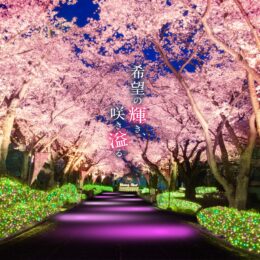 アトラクションで一風変わったお花見「夜桜ジュエルミネーション」3月19日から　＠よみうりランド